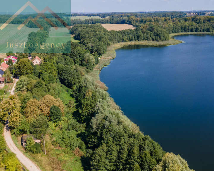 Działka Sprzedaż Sasiny