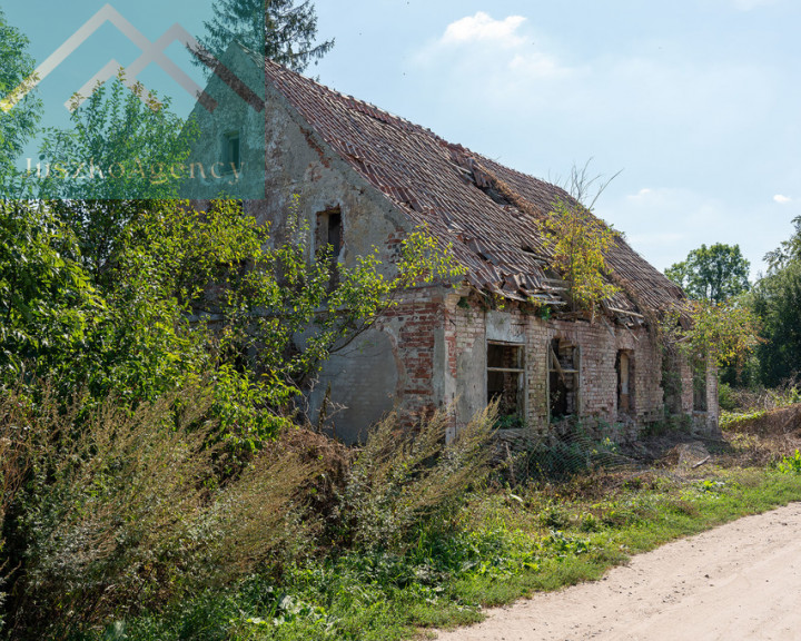 Działka Sprzedaż Sasiny