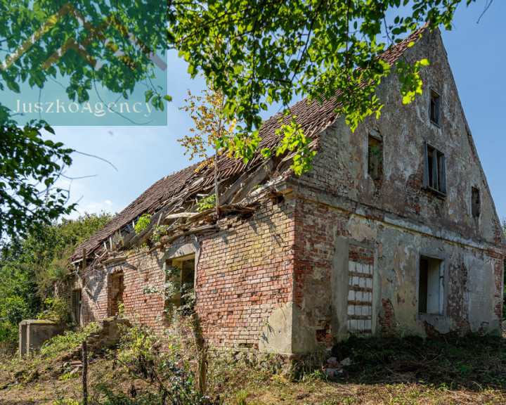 Działka Sprzedaż Sasiny