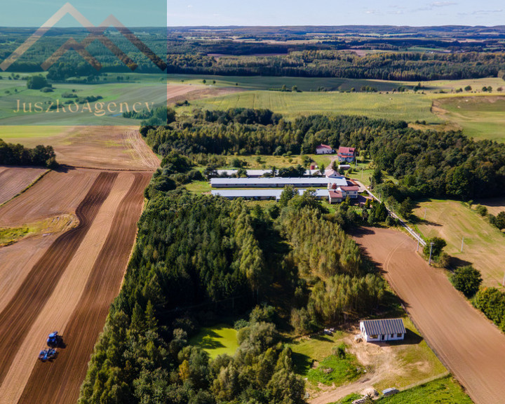 Działka Sprzedaż Rychnowo