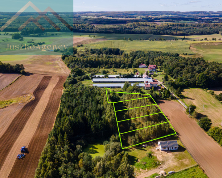 Działka Sprzedaż Rychnowo